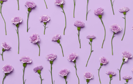 Режим работы в майские праздники 2025